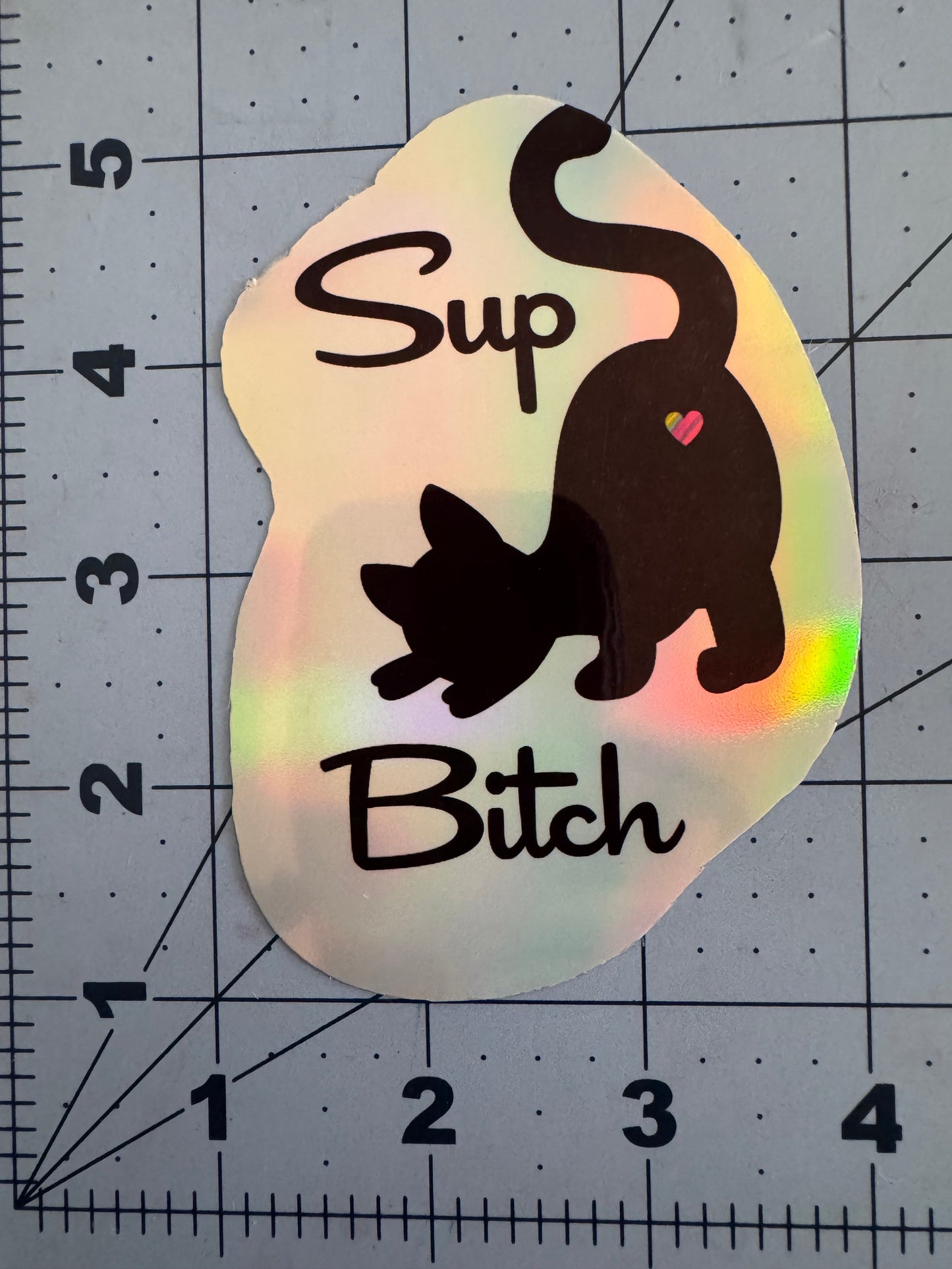 Sticker design featuring a black silhouette of a sassy cat with its tail up and a small rainbow heart on its rump. The text reads “Sup Bitch” in playful, handwritten-style font. Two versions are shown: one on a white background and one on a holographic finish.